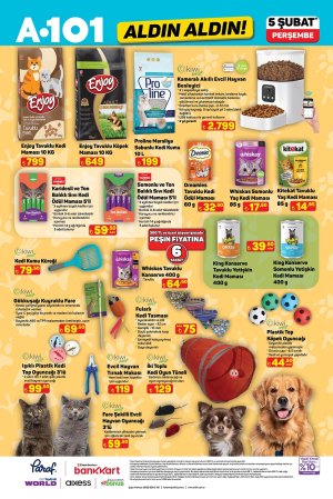 A101 31 Ocak 2026