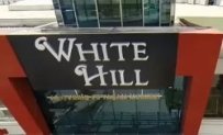 White Hill AVM