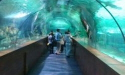 Deniz Dünyası - Keçiören Akvaryum logo