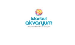 İstanbul Akvaryum logo